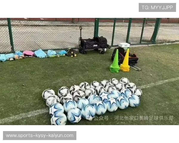 足球能量胶的合理使用提升足球运动员的比赛耐力 足球能量胶的合理使用提升足球运动员的比赛耐力