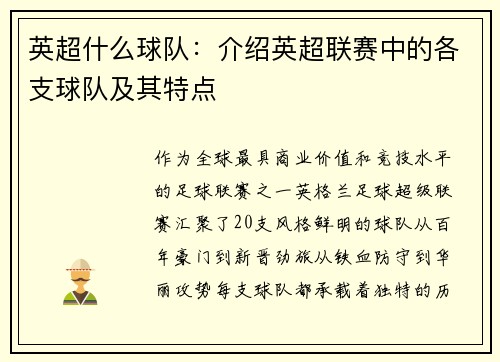 英超什么球队：介绍英超联赛中的各支球队及其特点